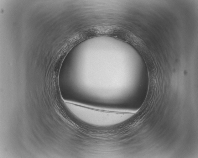 X0000058780215200509300823