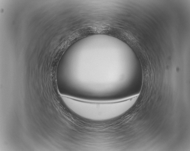 X0000058780221200509300823