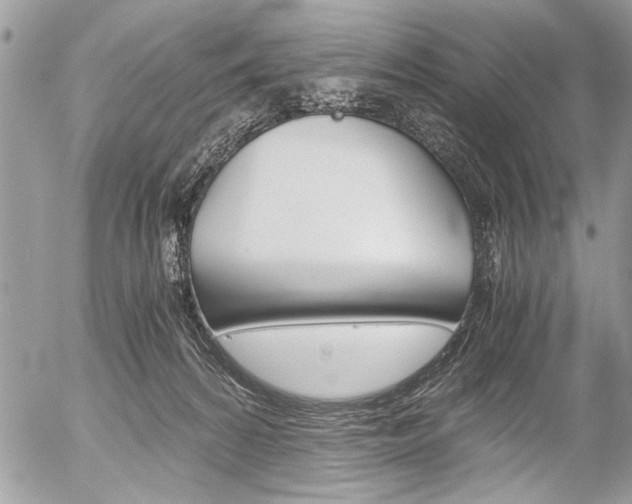 X0000058780224200509300823
