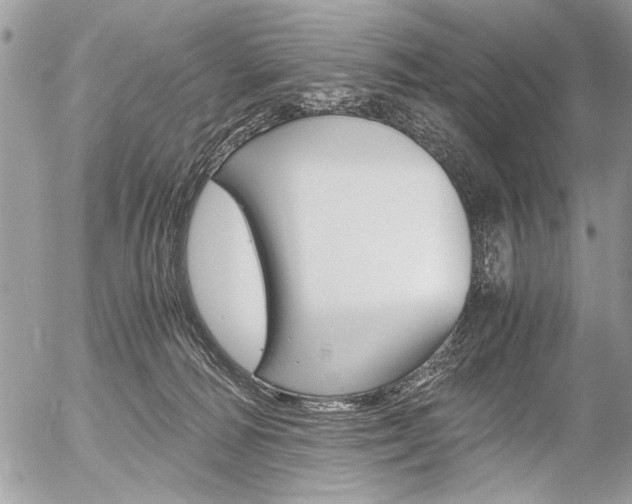 X0000058780226200509300823
