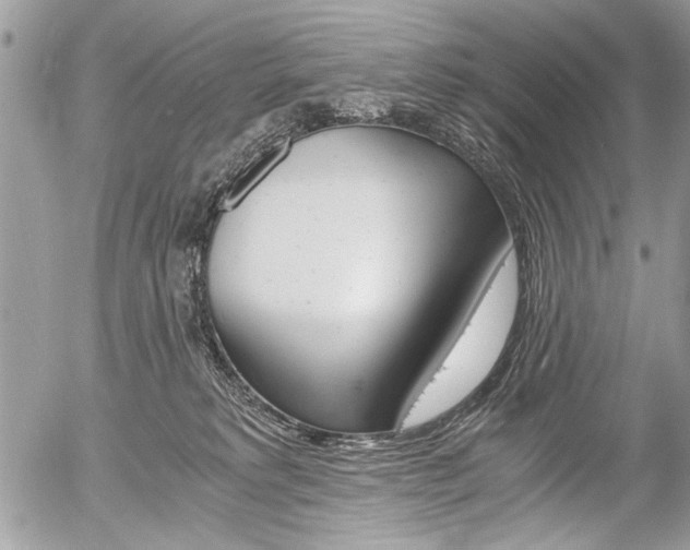 X0000058780229200509300823