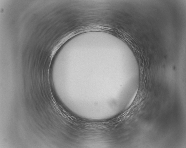X0000058780244200509300822