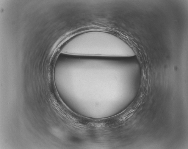 X0000058780247200509300822