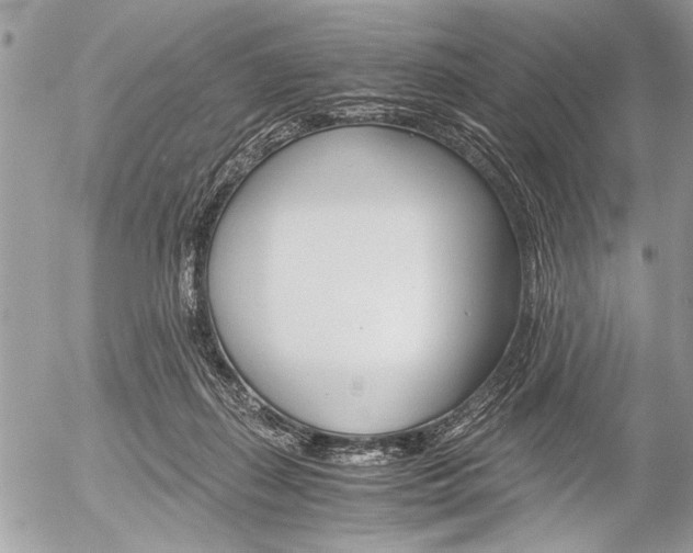 X0000058780267200509300823