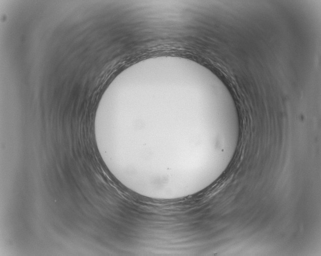 X0000058780288200509300823