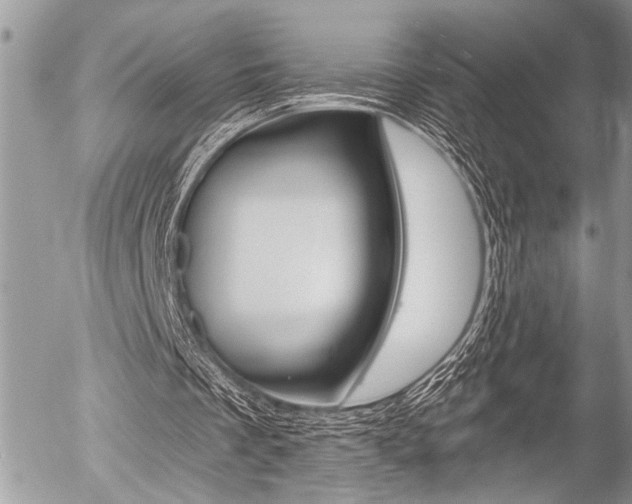 X0000058780289200509300822