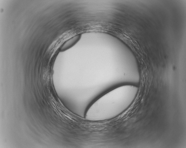 X0000058780290200509300822