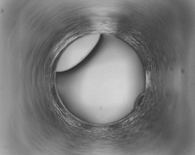 X0000058780291200509300822