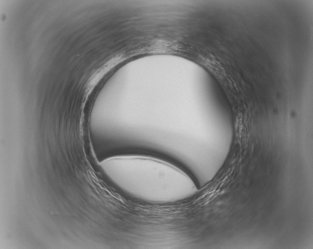 X0000058780292200509300822