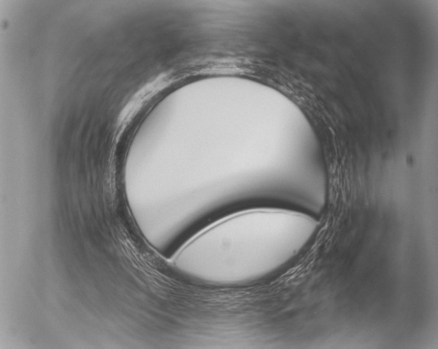 X0000058780296200509300822