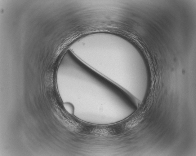 X0000058780299200509300822
