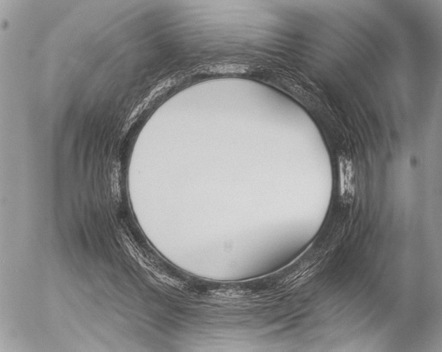 X0000058780300200509300822