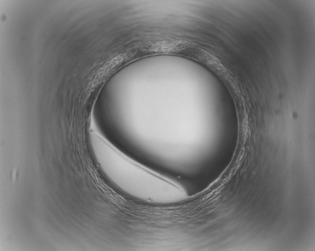 X0000058780305200509300822