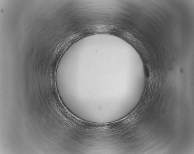 X0000058780306200509300822