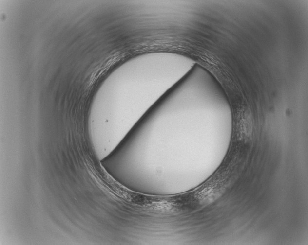 X0000058780310200509300822