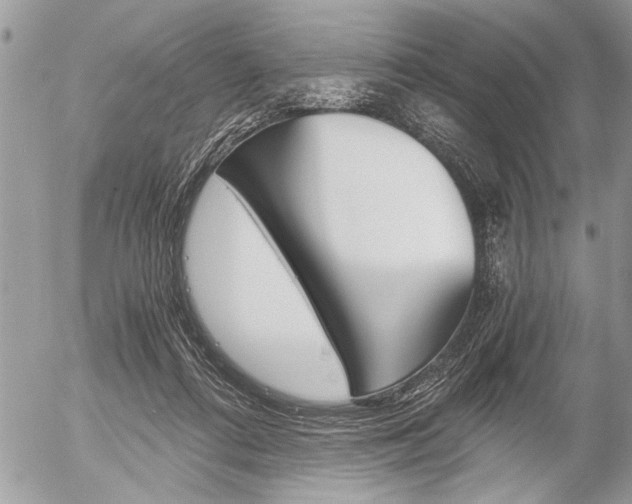 X0000058780312200509300822