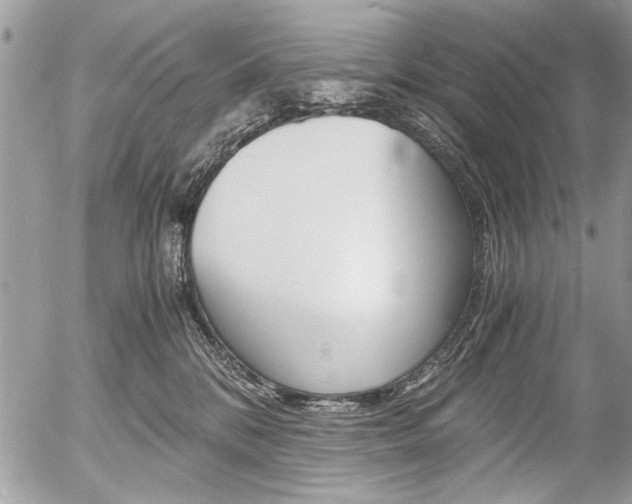 X0000058780328200509300821