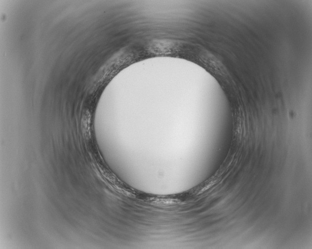 X0000058780332200509300821