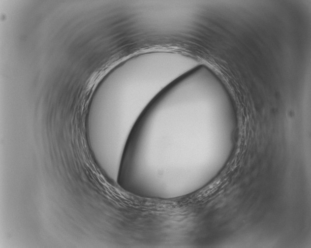 X0000058780337200509300820