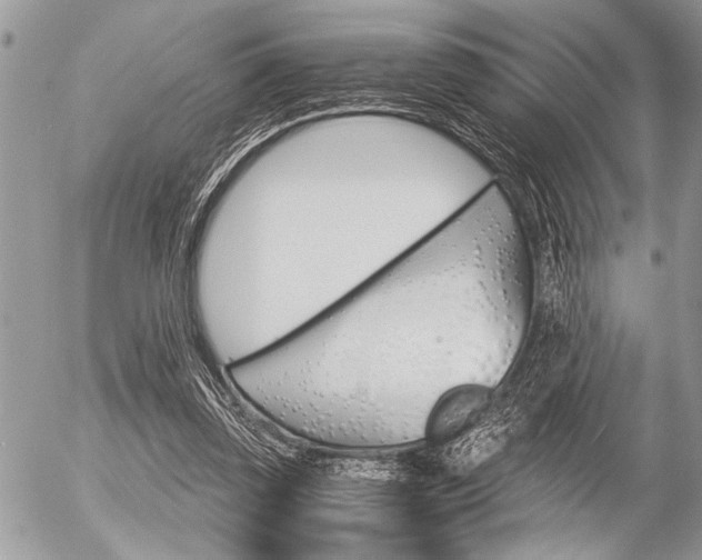 X0000058780347200509300821