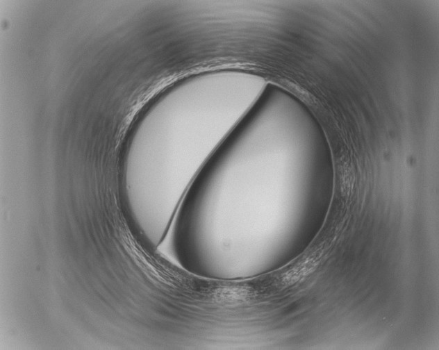 X0000058780350200509300821
