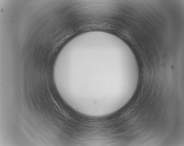 X0000058780360200509300821