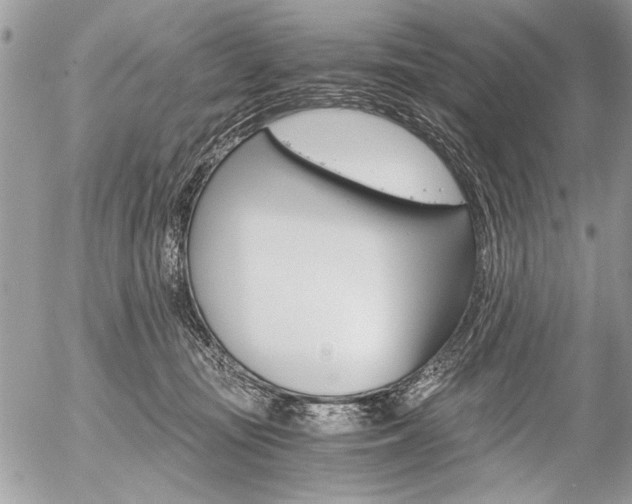 X0000058780371200509300821