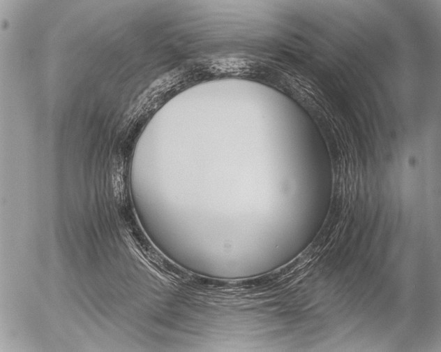 X0000058780408200509300820