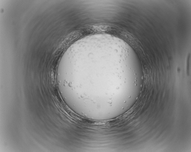 X0000058780418200509300820