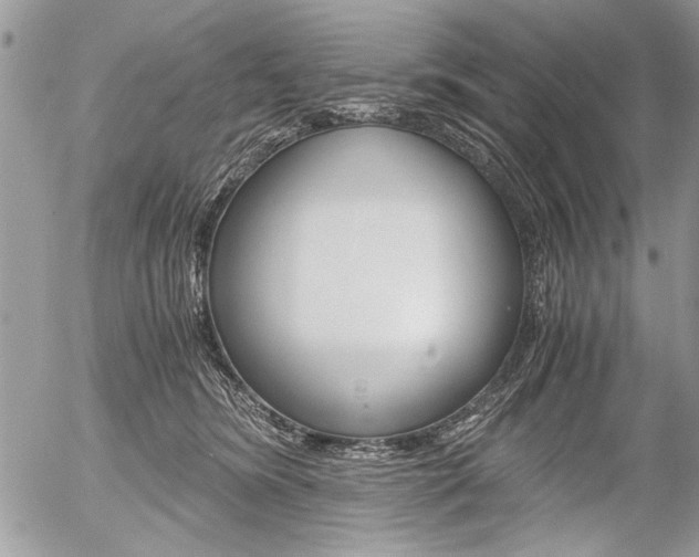 X0000058780420200509300820