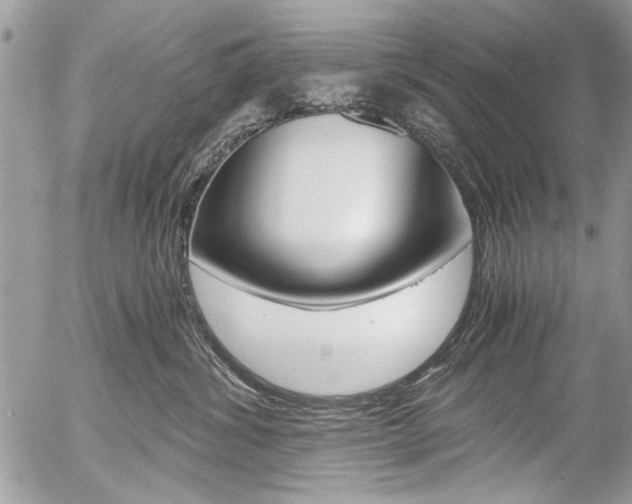 X0000058780428200509300820