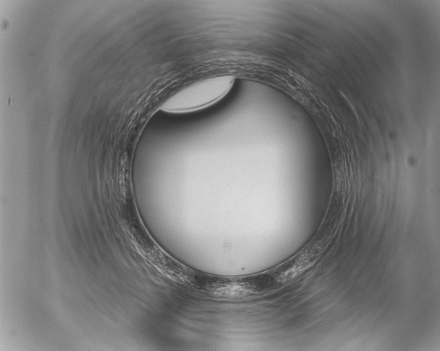 X0000058780460200509300819