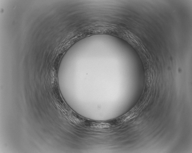 X0000058780463200509300819