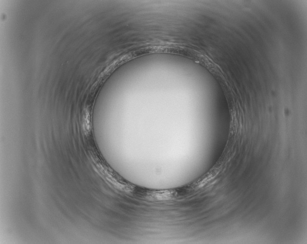 X0000058780479200509300820