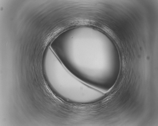 X0000058780485200509300819