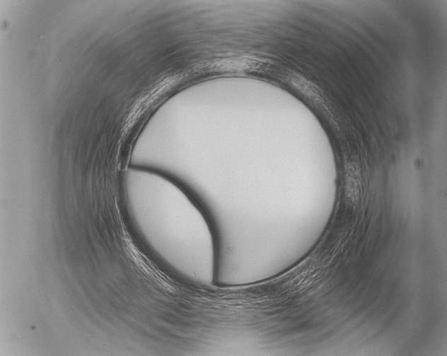 X0000058780486200509300819