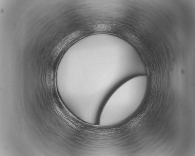 X0000058780490200509300819