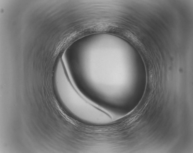 X0000058780493200509300819