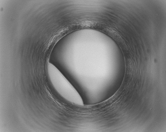 X0000058780496200509300819