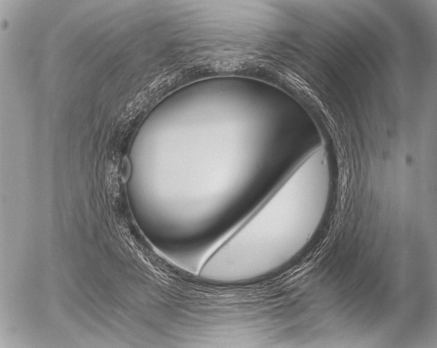 X0000058780497200509300819