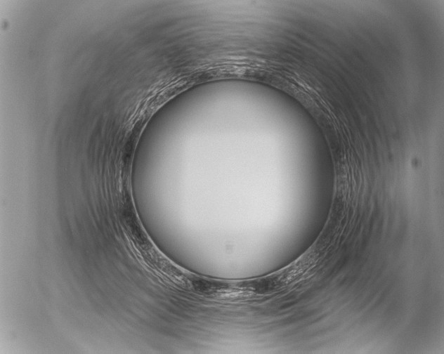 X0000058780504200509300818