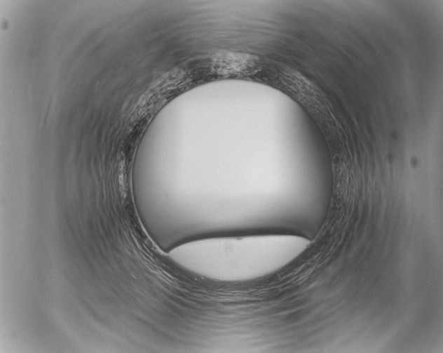X0000058780510200509300818