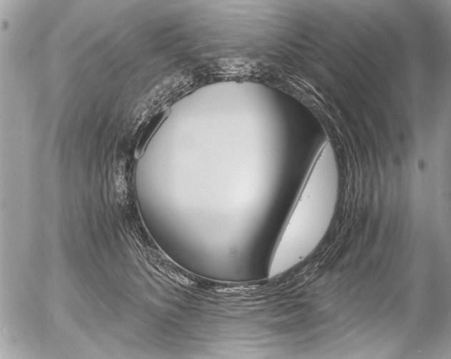 X0000058780516200509300818