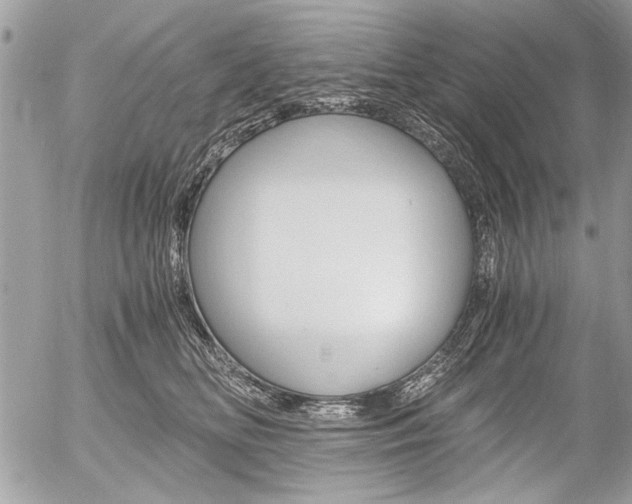 X0000058780518200509300818