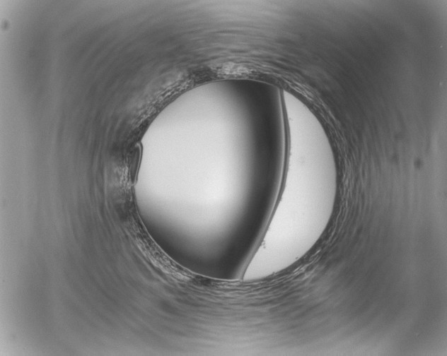 X0000058780521200509300818