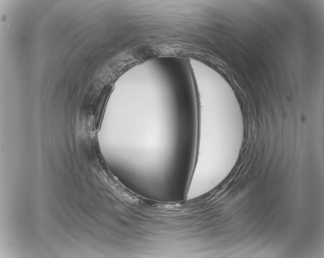 X0000058780525200509300818
