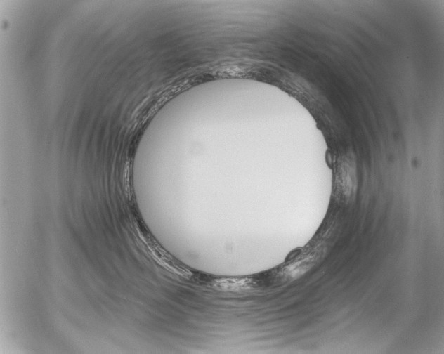 X0000058780526200509300818