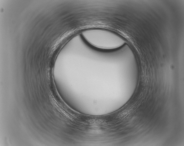 X0000058780535200509300817