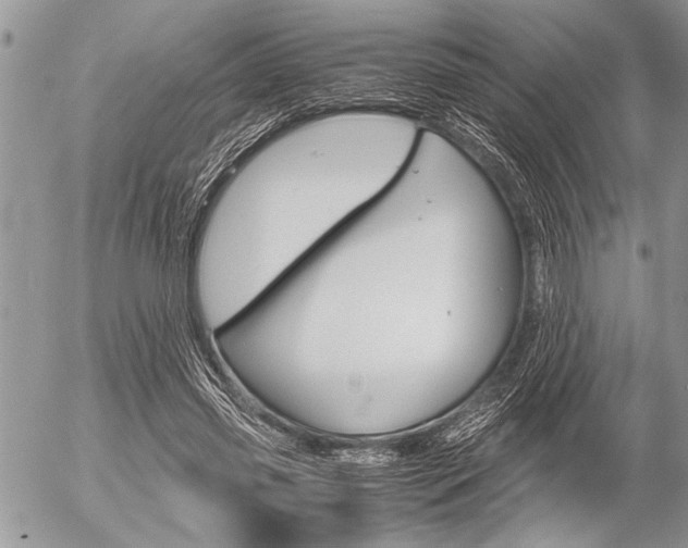 X0000058780541200509300817