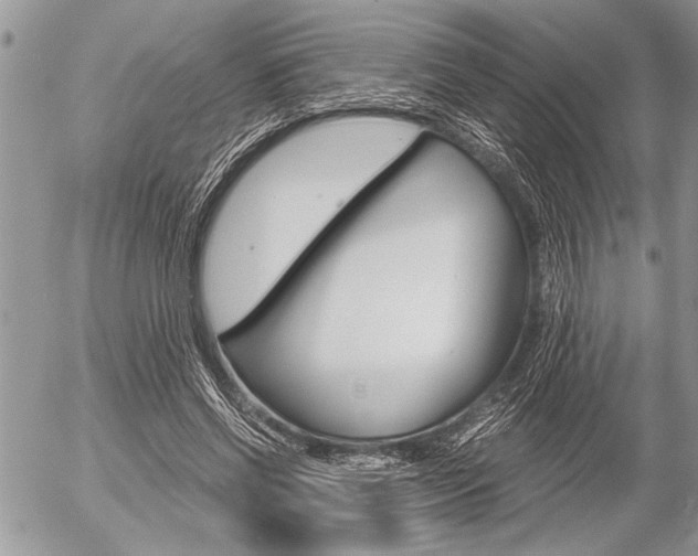X0000058780542200509300817